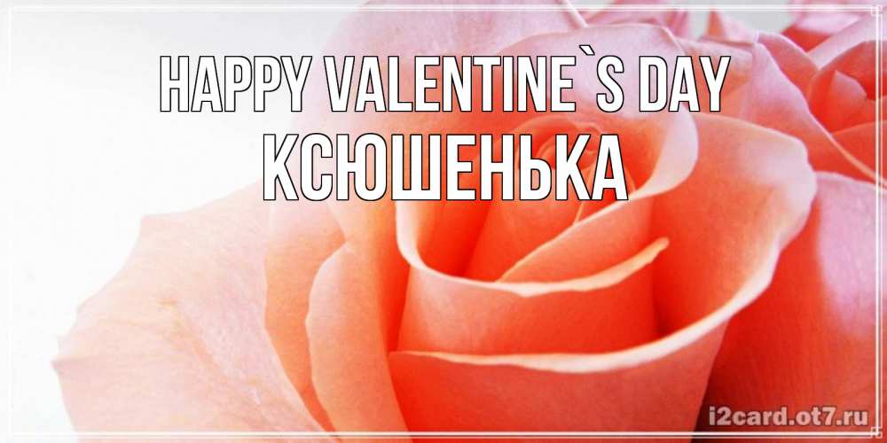 Greetings card с именем, Ксюшенька Happy Valentine`s Day открытка на день Святого Валентина с розовой розой Greetings with text for free download 